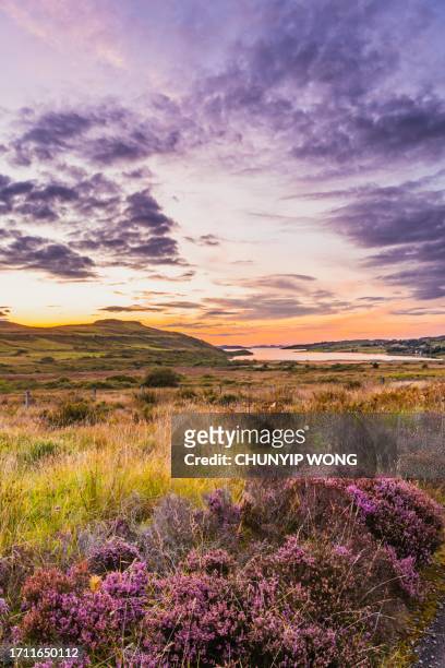 paesaggio estivo in scozia, regno unito - isle of skye foto e immagini stock