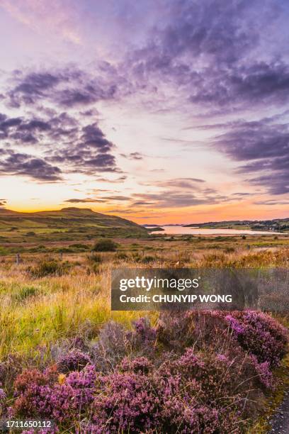 summer landscape in scotland, uk - escócia imagens e fotografias de stock