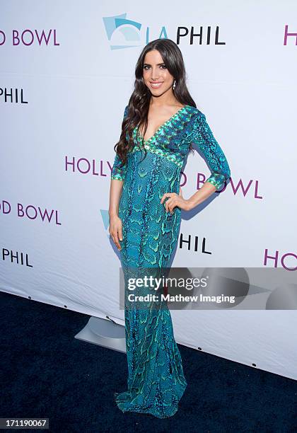 Caren Brooks attends Hollywood Bowl Opening Night Gala - Arrivals at The Hollywood Bowl on June 22, 2013 in Los Angeles, California.
