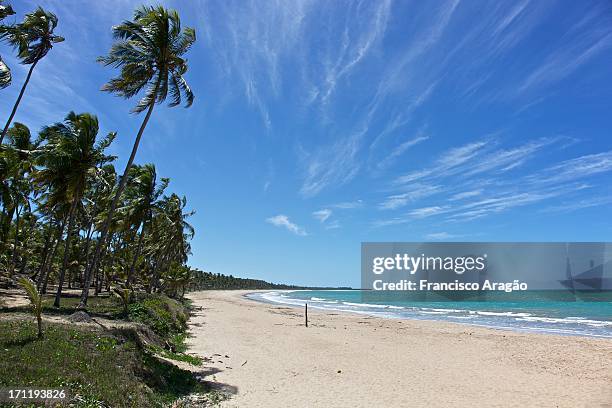 praia da sereia - maceió, alagoas - sereia stock pictures, royalty-free photos & images