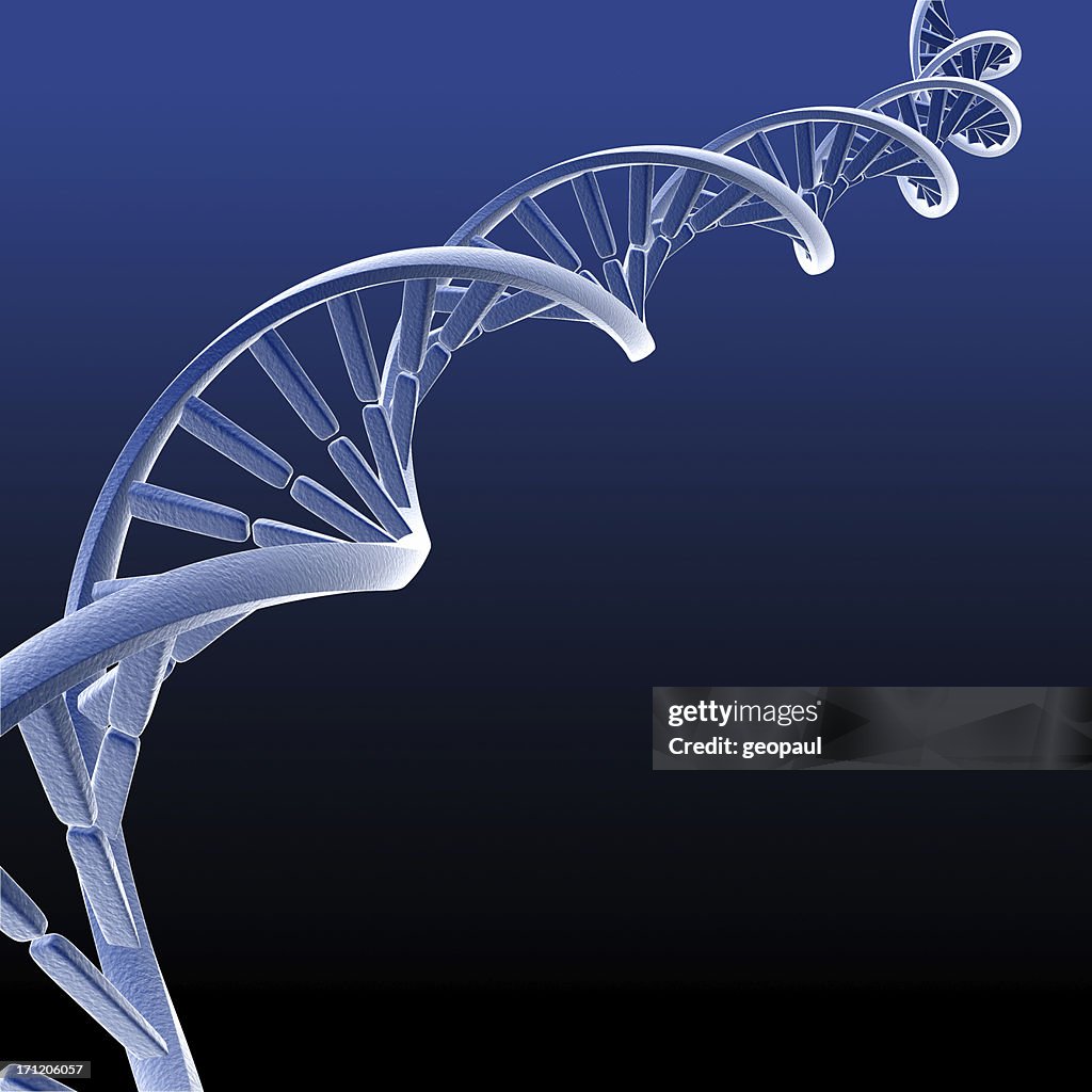 Double Helix - DNA