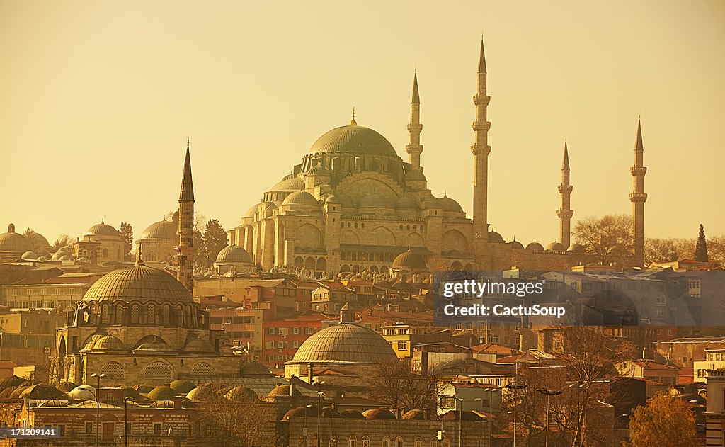 Istanbul panorama