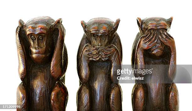 three wise monkeys - drie dieren stockfoto's en -beelden