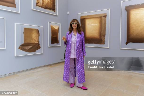 Artist Sophie Calle poses in the Picasso Confines Room During the opening of "A Toi De Faire, Ma Mignonne" : Sophie Calle's exhibition to commemorate...