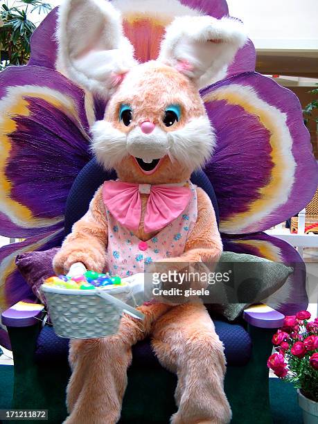 conejo de pascua - easter bunny fotografías e imágenes de stock