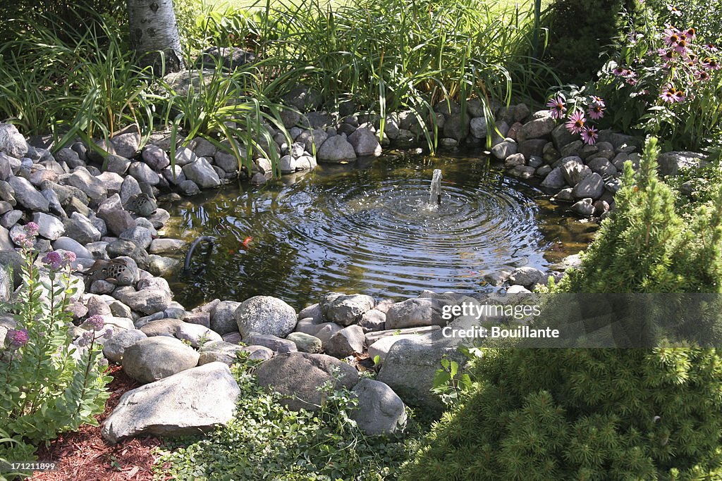 Aquatic garden