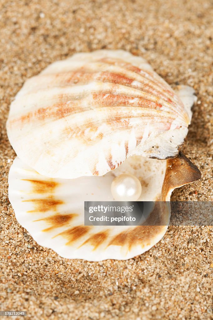 Pearl In Shell High Resolution Pearl In Shell High-Res Stock Photo - Getty Images