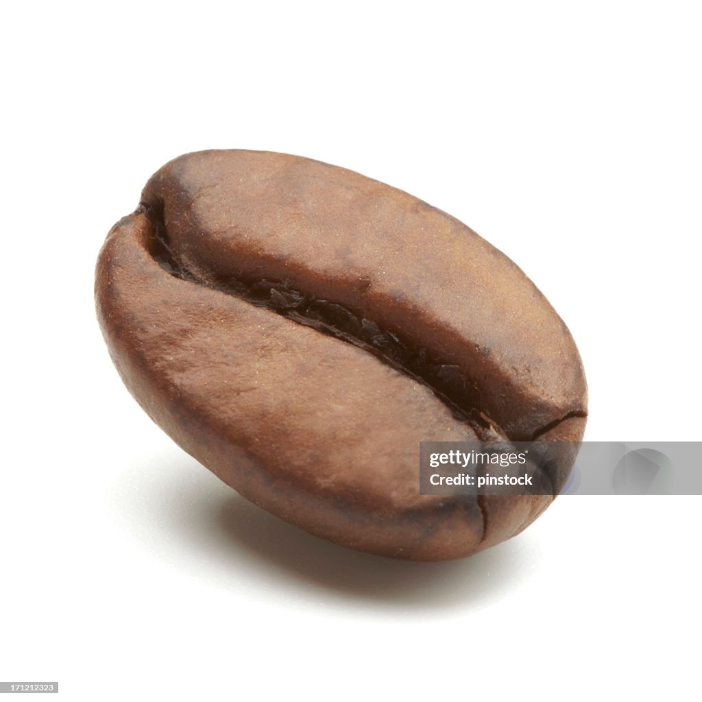 Close up of a single coffee bean