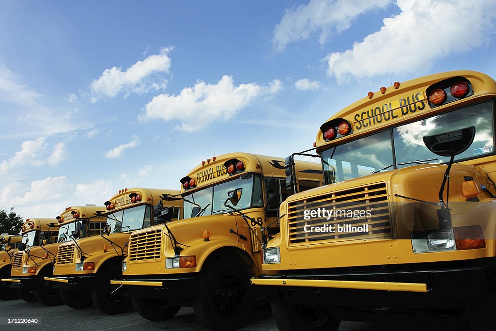 Line of school buses