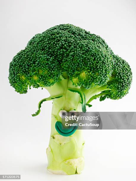 broccoli portrait - vegetables isolated stock pictures, royalty-free photos & images