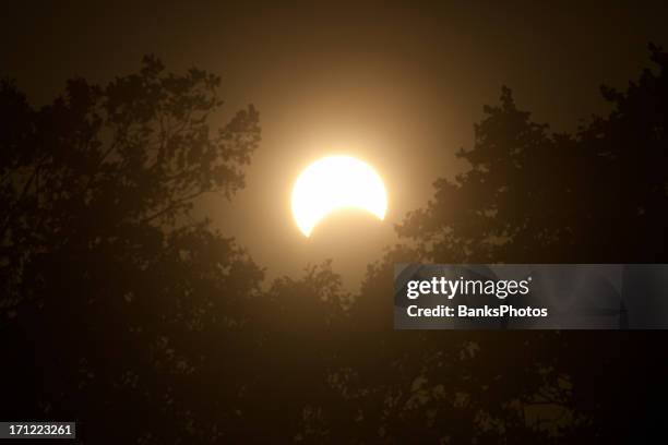 eclissi solare con alberi - eclissi solare foto e immagini stock