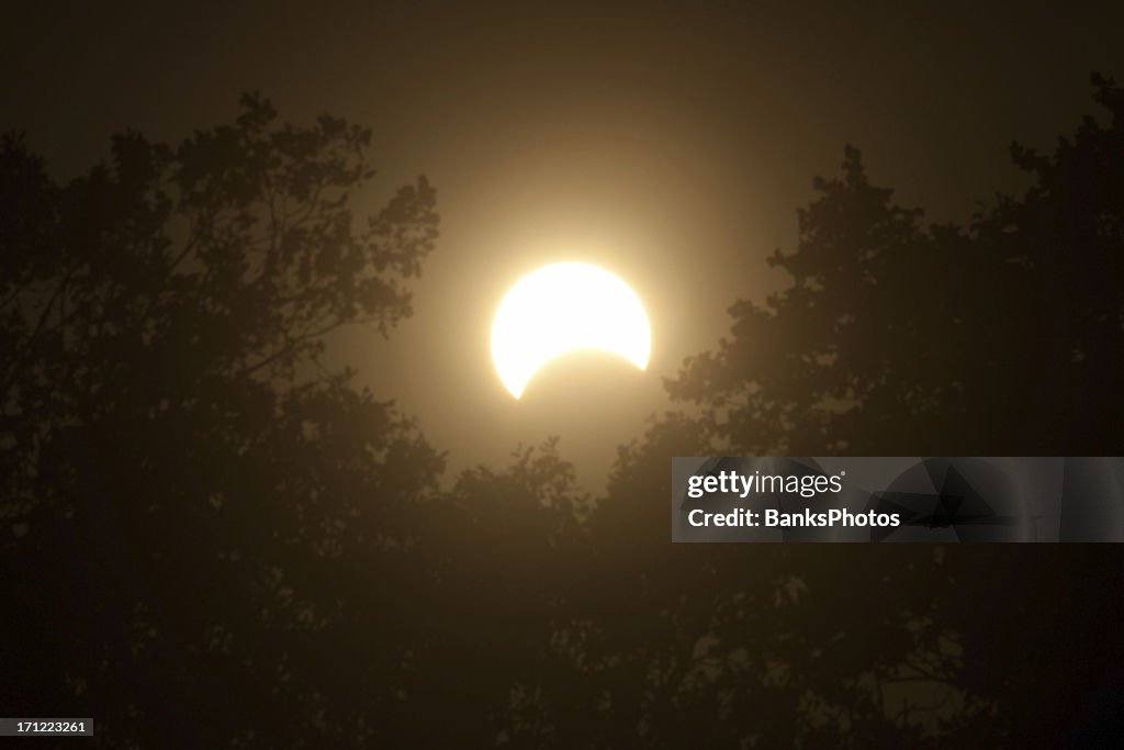 Solar Eclipse with Trees