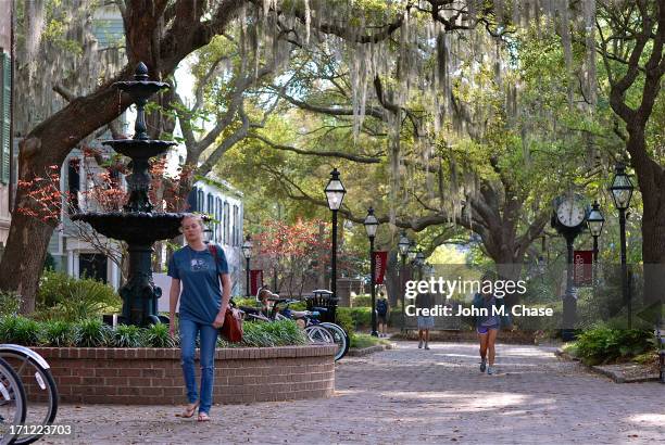 college of charleston campus - charleston south carolina stock pictures, royalty-free photos & images
