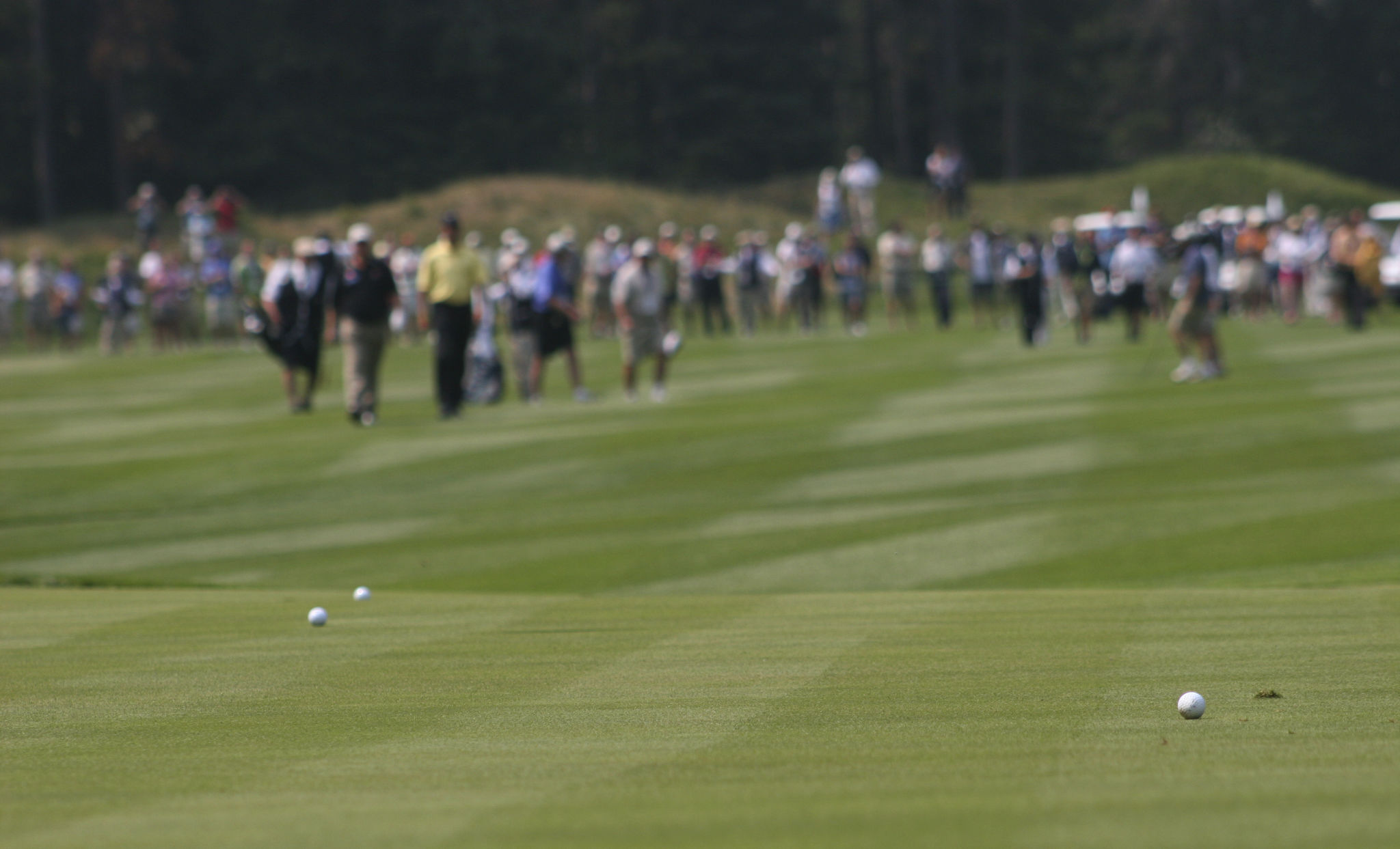 course management golf