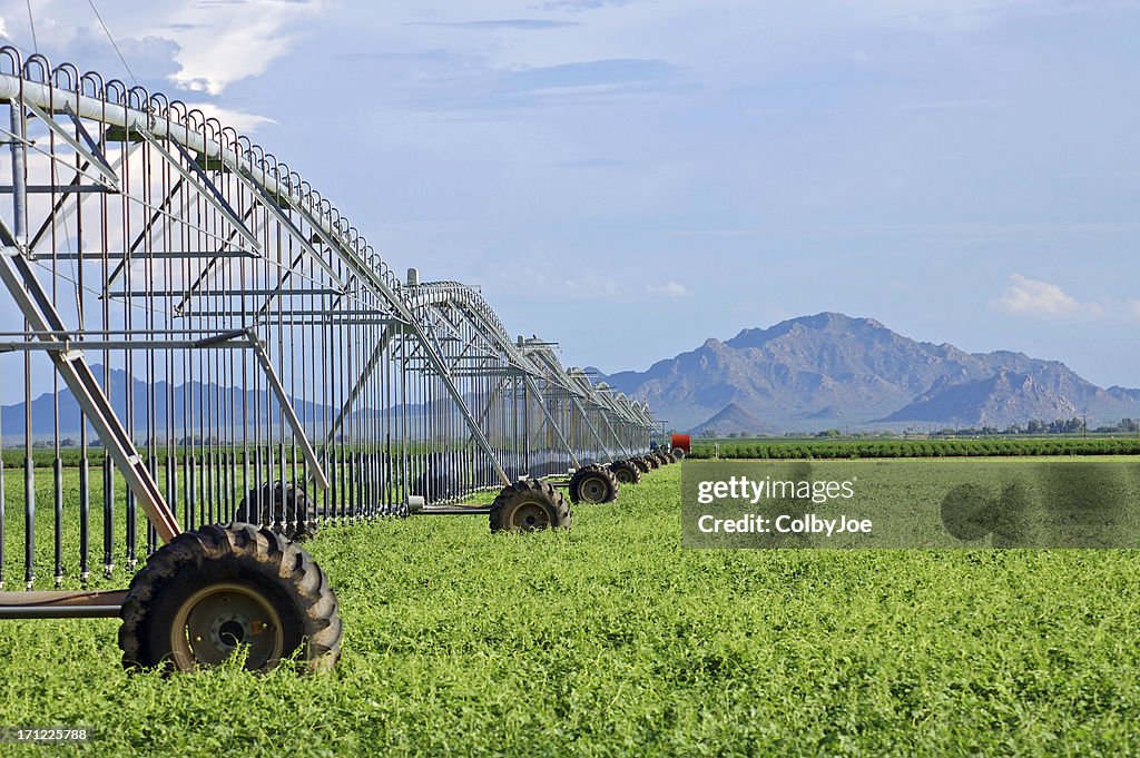 Irrigation