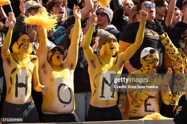 Missouri Tigers fans in full body paint cheering during an SEC football game between the LSU Tigers and Missouri Tigers on Oct 7, 2023 at Memorial...