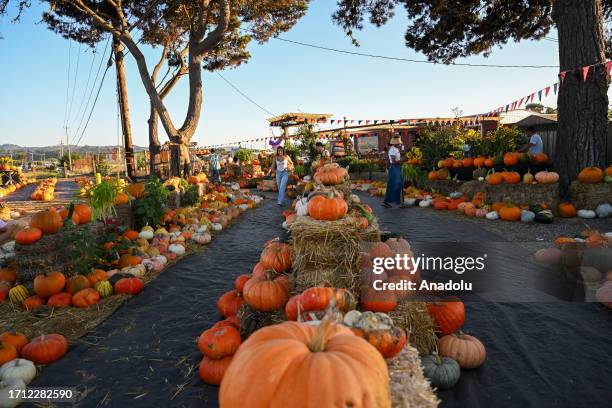 14 509 Calabasas California Stock Photos High Res Pictures And Images 14-509-calabasas-california-stock-photos-high-res-pictures-and-images