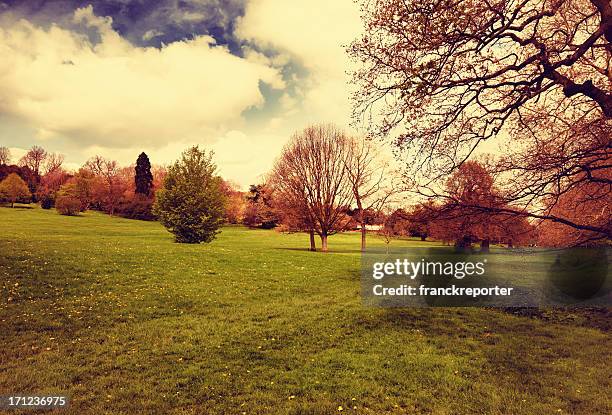 parque green no derbyshire - grande londres imagens e fotografias de stock