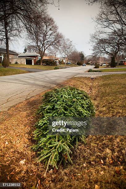 christmas tree on the curb for garbage - curb stock pictures, royalty-free photos & images