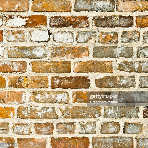 2000s Texture 2000s Texture Photos and Premium High Res Pictures - Getty Images