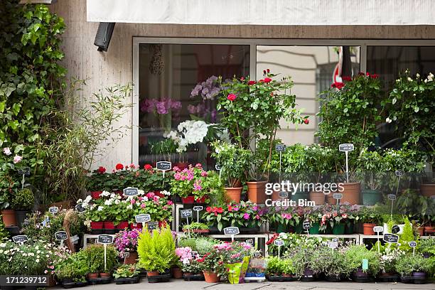 blumengeschäft in paris - blumenladen stock-fotos und bilder