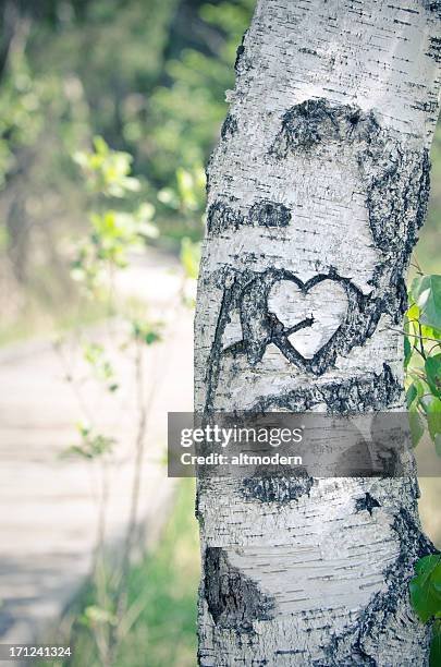 heart - valentine theme or love concept - plant bark stock pictures, royalty-free photos & images