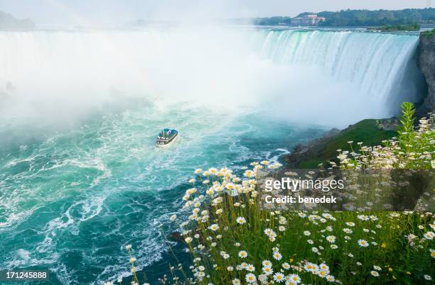 niagara falls - tour boat stock pictures, royalty-free photos & images