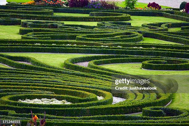 baroque garden and hedges - hanover stock pictures, royalty-free photos & images