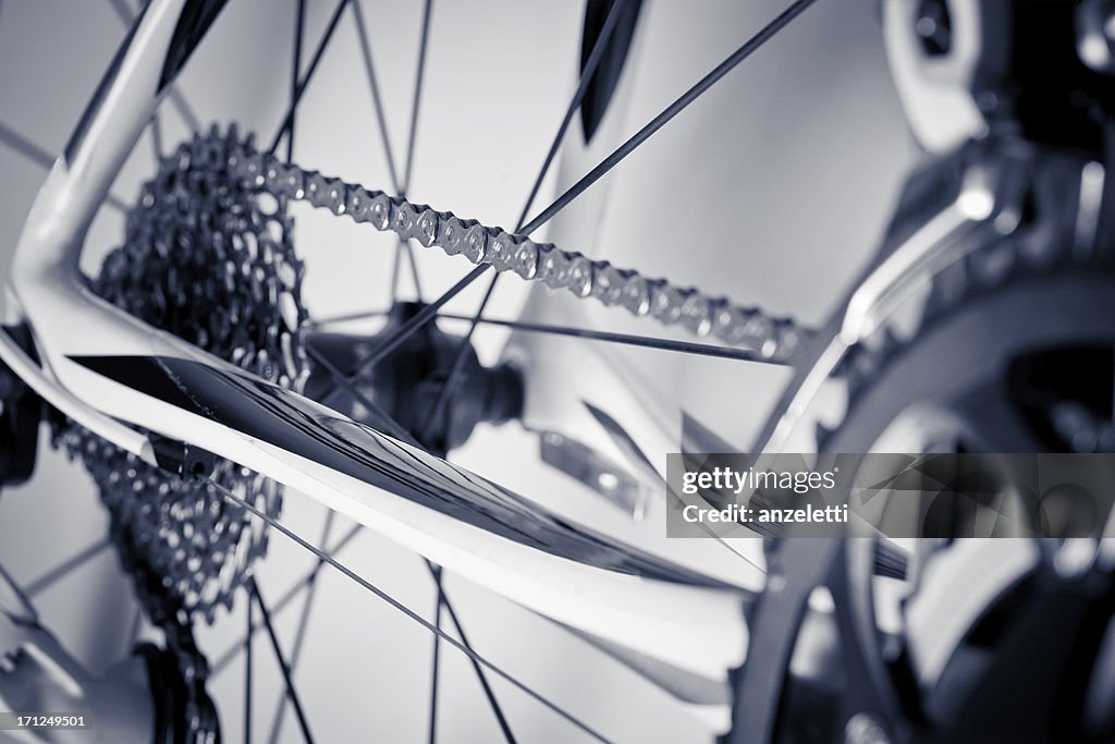 Racing Bicycle Detail
