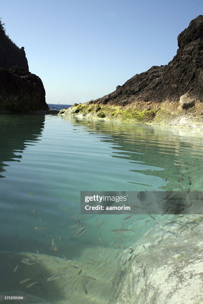 Natural pool