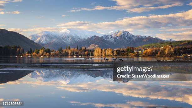 wanaka township, new zealand - ilha do sul da nova zelândia imagens e fotografias de stock