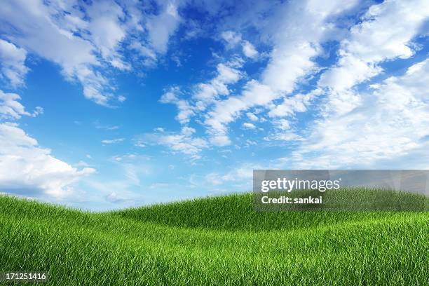 green field under blue sky - grass hill stock pictures, royalty-free photos & images
