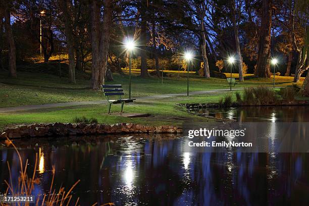 park at night - public park at night stock pictures, royalty-free photos & images