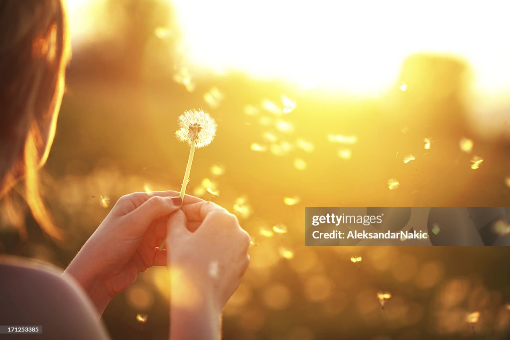 Young woman playfully blowing a dandelion