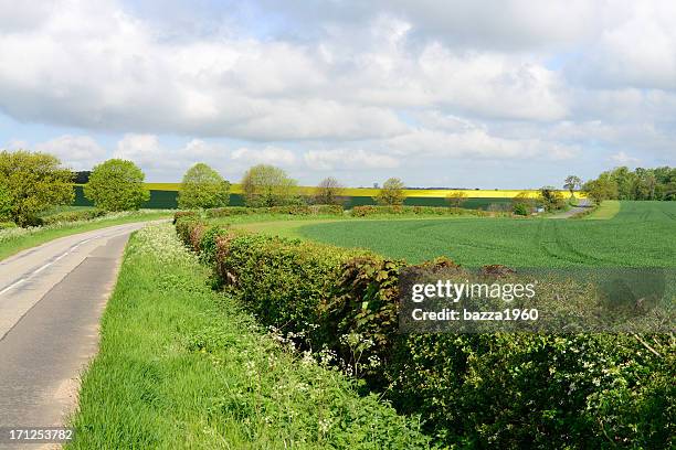 suffolk countryside. - suffolk england 個照片及圖片檔