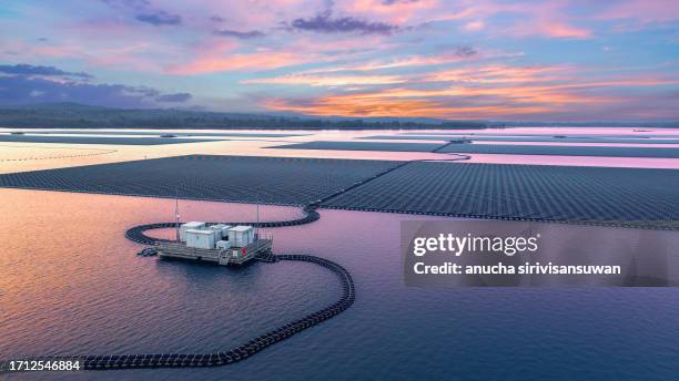 solar panel station on water in natural dam in twilight light - central eléctrica fotografías e imágenes de stock