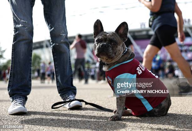 Fan and a dog arrive to attend the English Premier League football match between West Ham United and Newcastle United at the London Stadium, in...