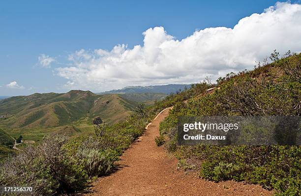 marin headlands trail - noordelijk californië stockfoto's en -beelden