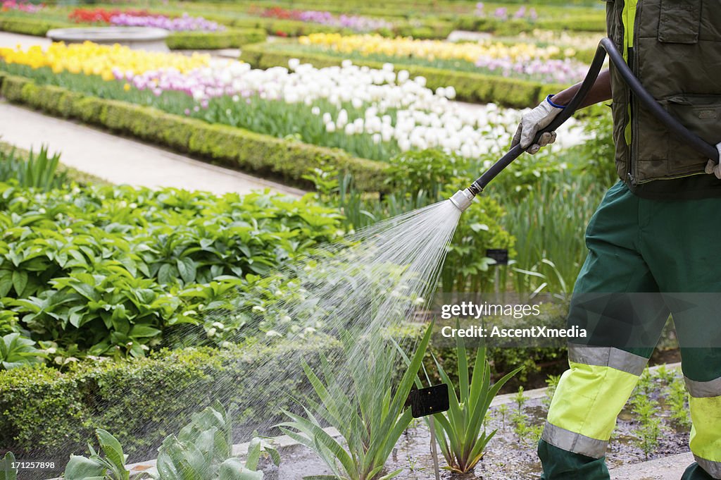 Watering the garden