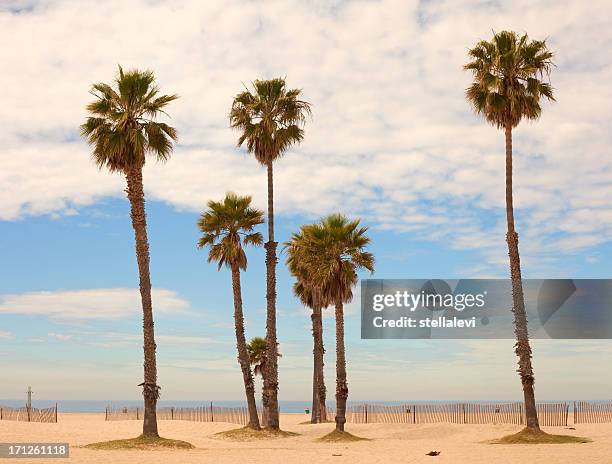 santa monica beach - playa de santa mónica fotografías e imágenes de stock
