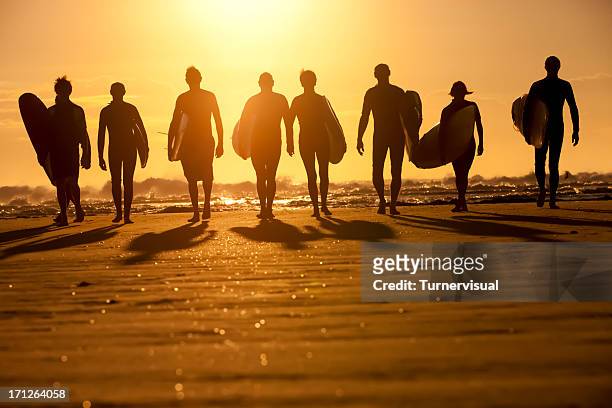 silhouette di surfer - malibu foto e immagini stock