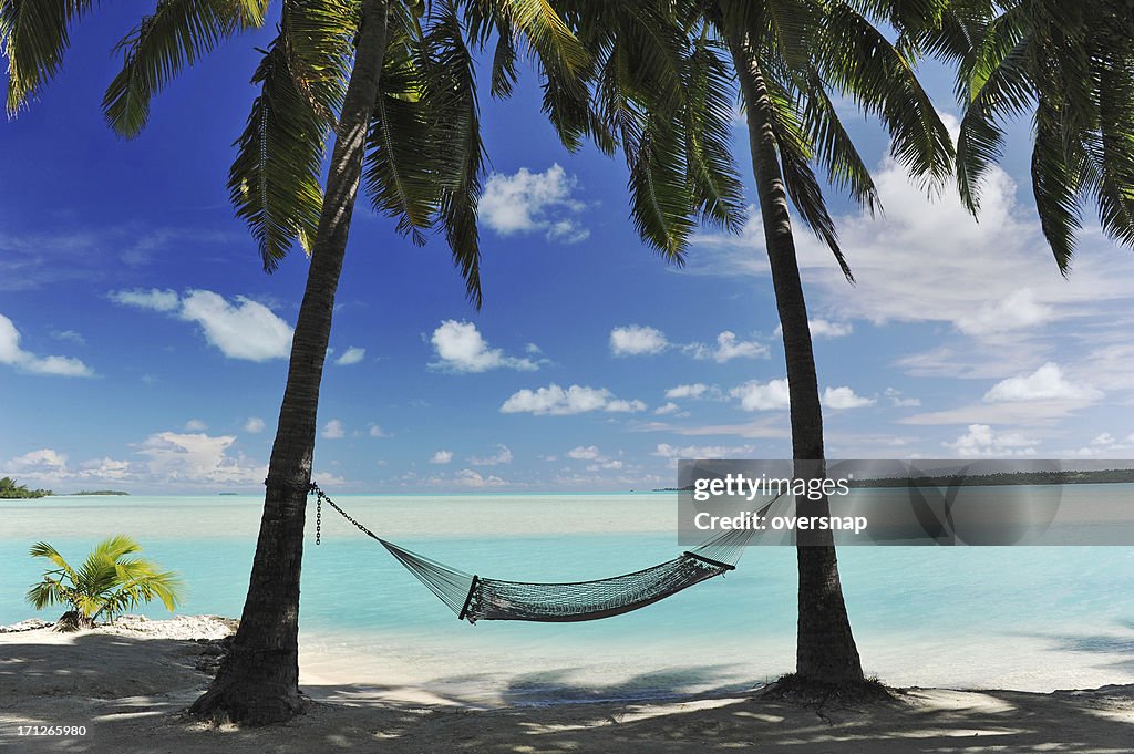 Paradise Island Hammock