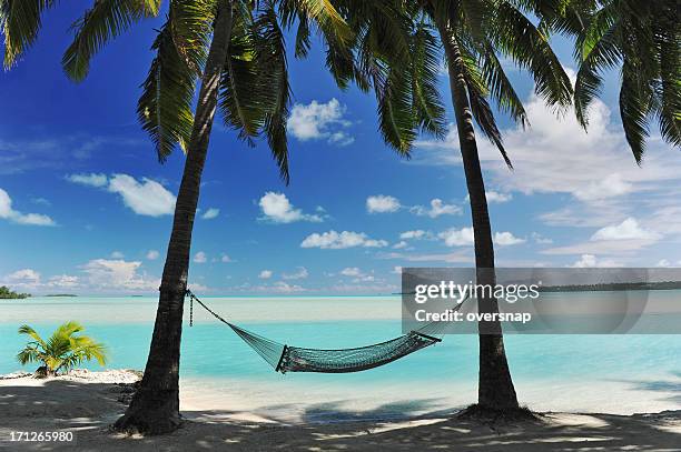 paradise island hammock - rarotonga stock pictures, royalty-free photos & images