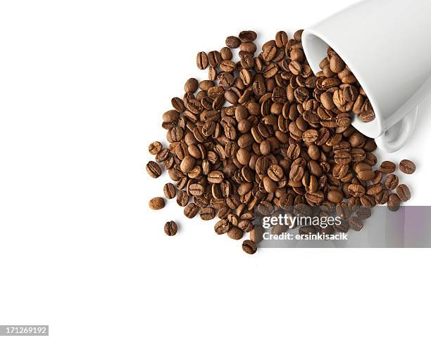 kaffeebohnen in cup - rohe kaffeebohne stock-fotos und bilder