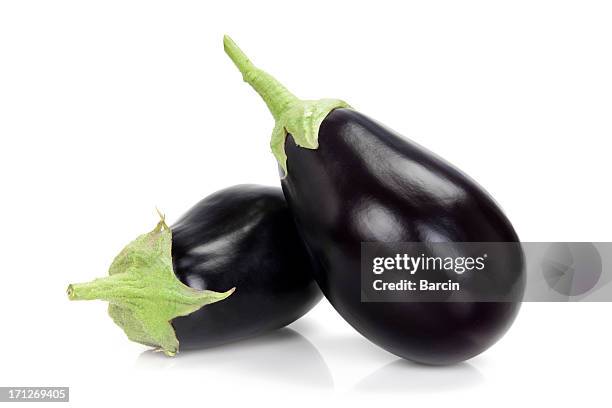 eggplants - eggplant stockfoto's en -beelden