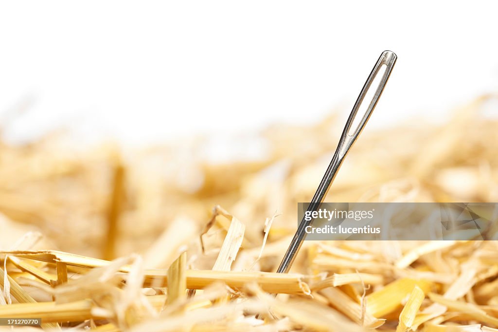 A close-up of a single needle in a haystack