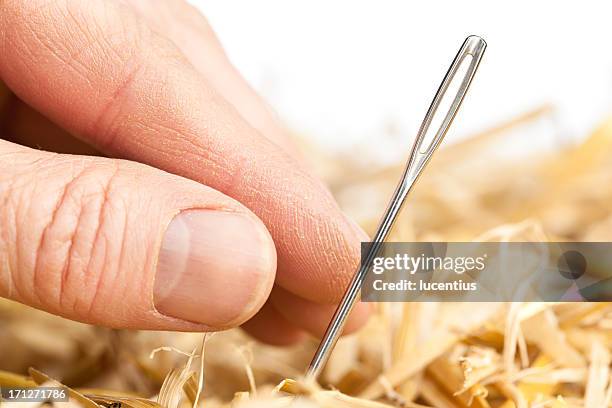 Digging Needle Hay Stack Hay Stack Needle Photos and Premium High Res Pictures - Getty Images