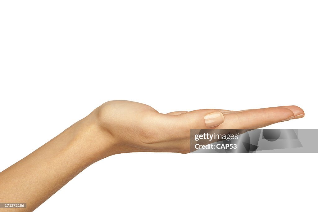 Woman's Hand Holding
