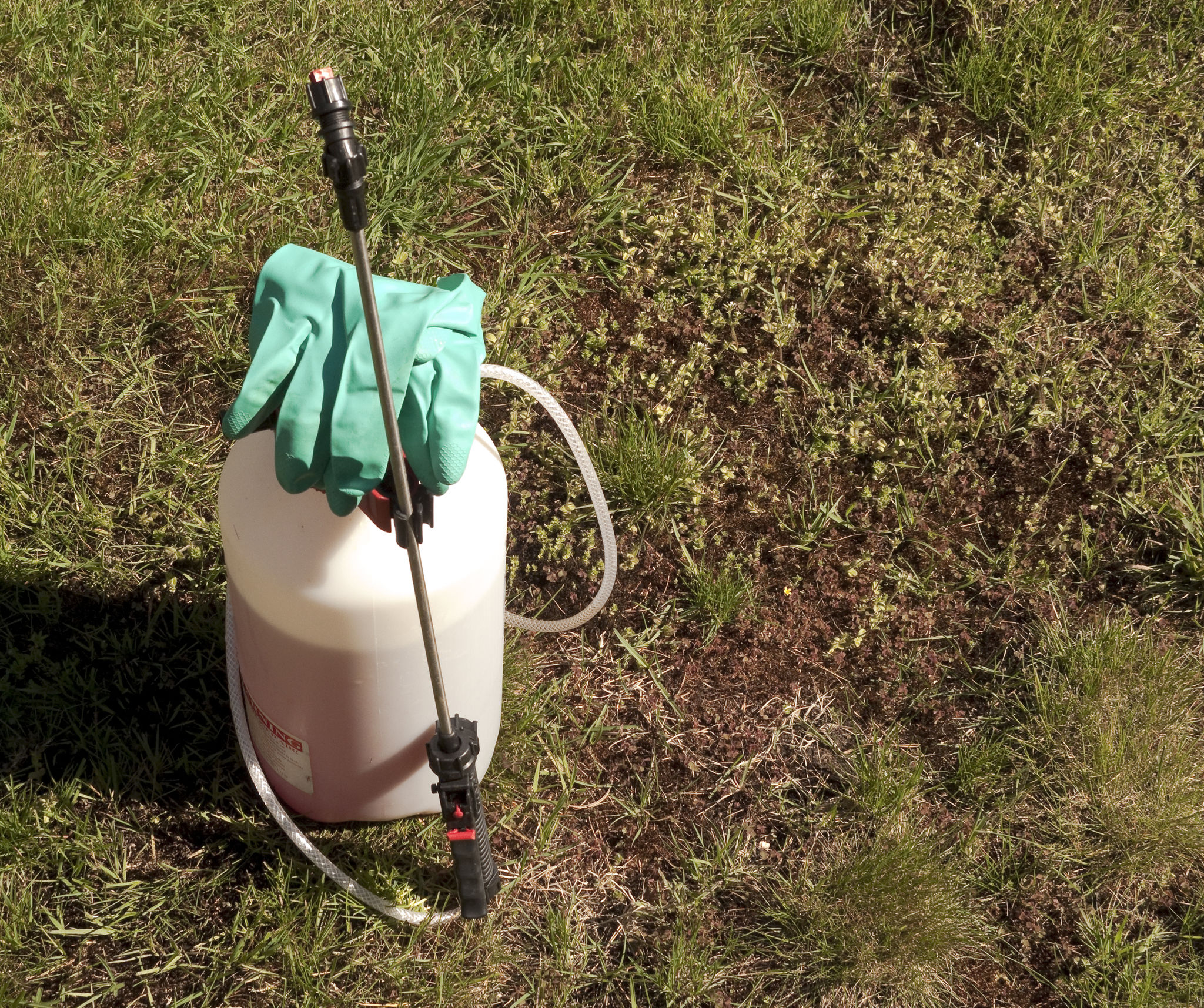 weed control