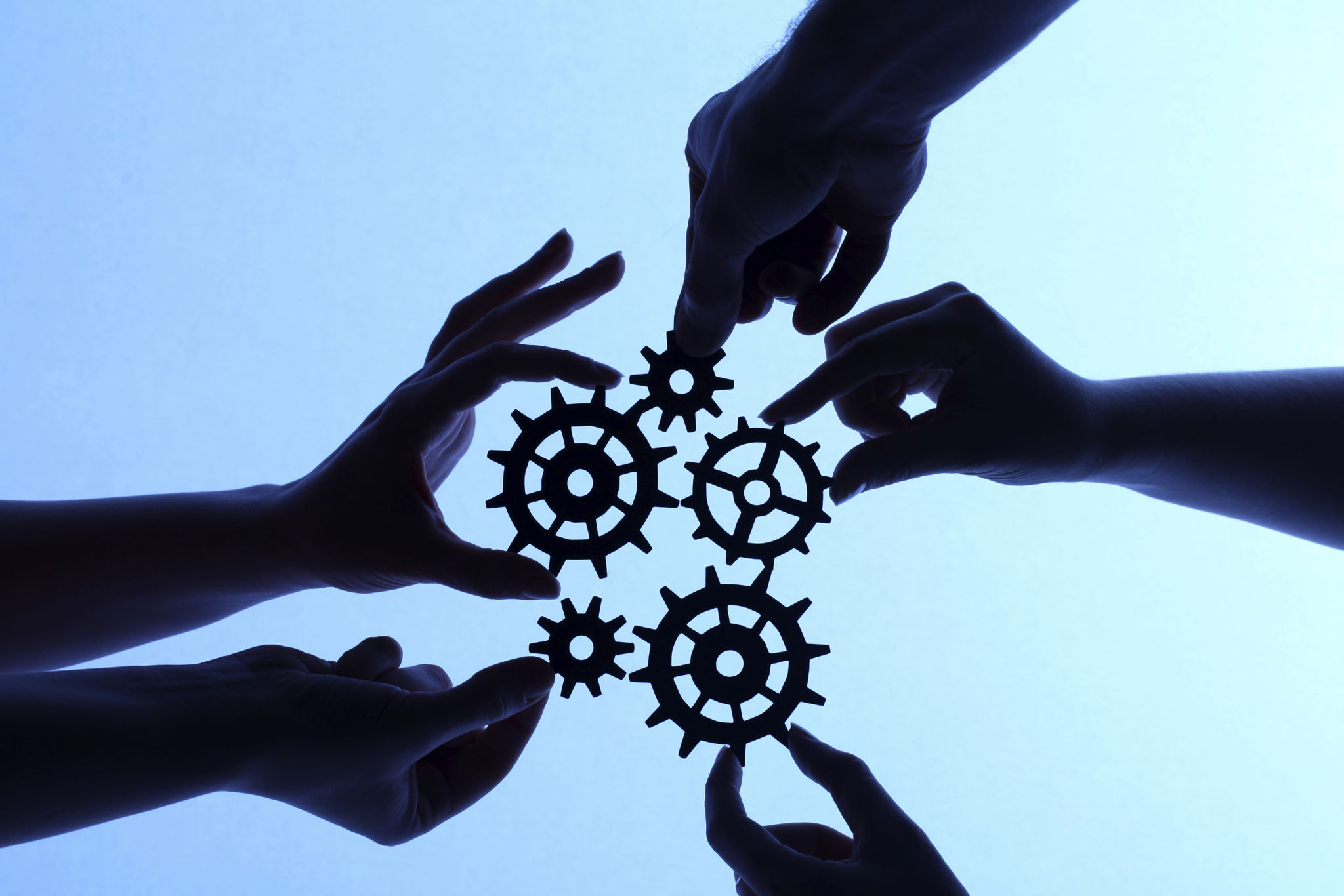 organizational development